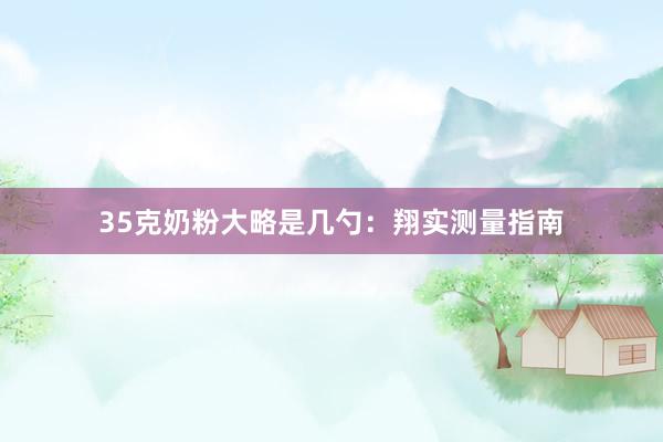 35克奶粉大略是几勺：翔实测量指南